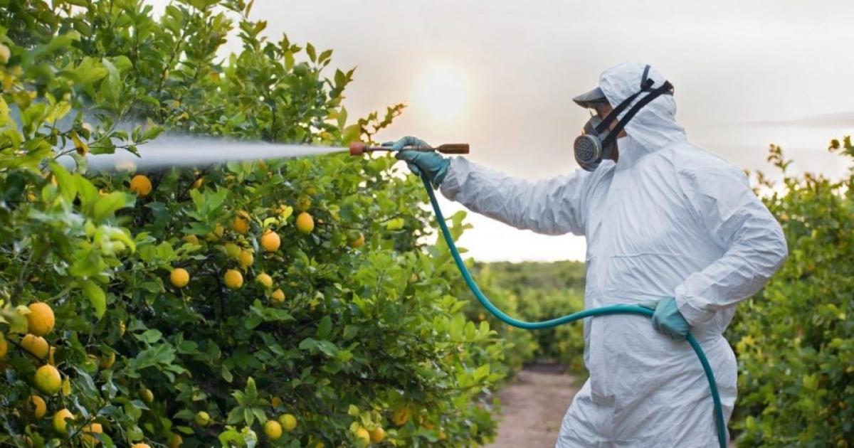 Presentaron a receta digital fitosanitaria para fortalecer el control en el uso de agroquiacutemicos