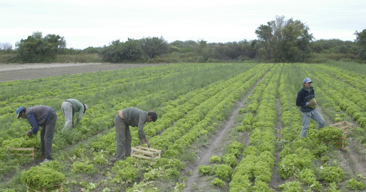 Conflicto en zona rural- una mujer denuncioacute intento de manoseo