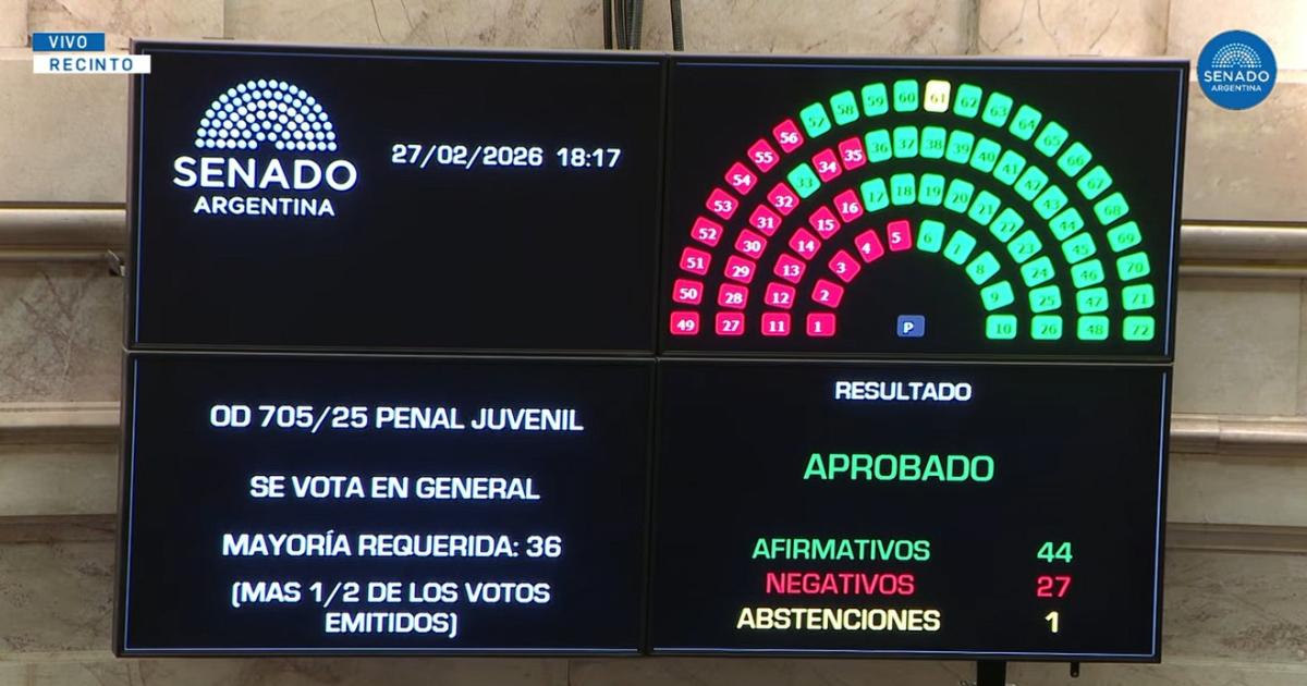 Nuevo Reacutegimen Penal Juvenil- el Senado aproboacute la baja de la edad de imputabilidad a 14 antildeos