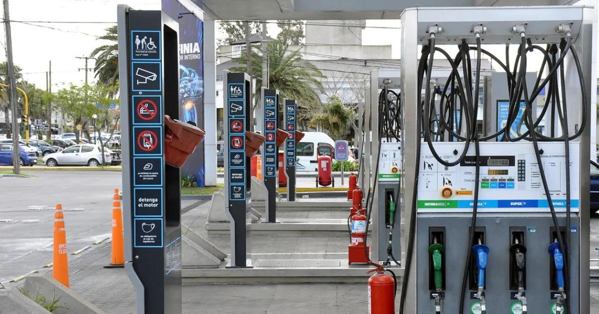 Las naftas y el gasoil subiraacuten entre 17 y 18 por litro