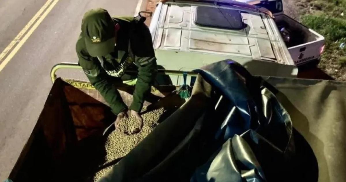 OPERATIVO Control en una ruta nacional