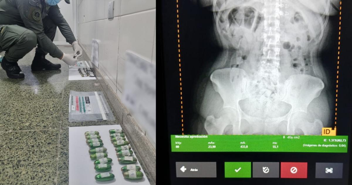 Detienen a tres bolivianas que actuaban como mulas y habiacutean ingerido maacutes de dos kilos de cocaiacutena