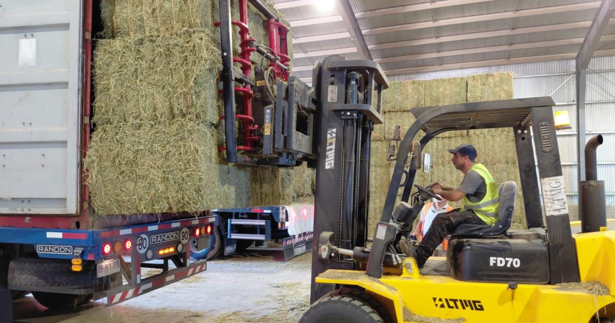 La guerra entre EEUU e Iraacuten ya tiene impacto en las exportaciones de la alfalfa santiaguentildea