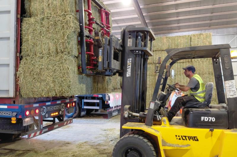 La guerra entre EEUU e Iraacuten ya tiene impacto en las exportaciones de la alfalfa santiaguentildea