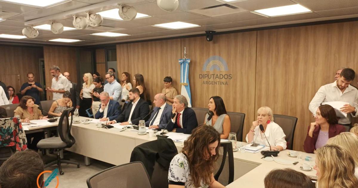 El diputado Mayoraz propuso hacer una Audiencia P�blica cumpliendo con el requisito federal