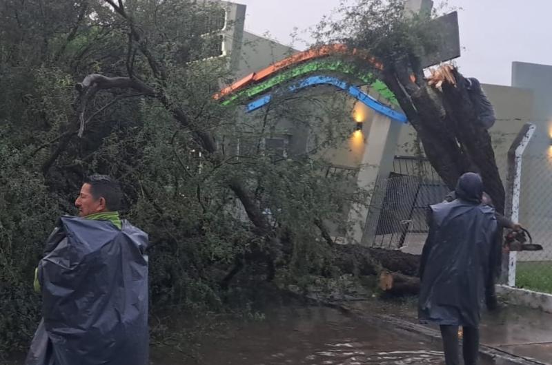 El fuerte viento y el agua provocaron la caiacuteda de aacuterboles en Las Termas