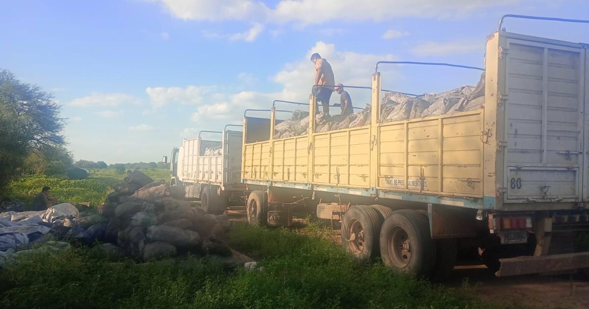 ALCANCES Los responsables transportaban carbón y leña con destino a otras provincias