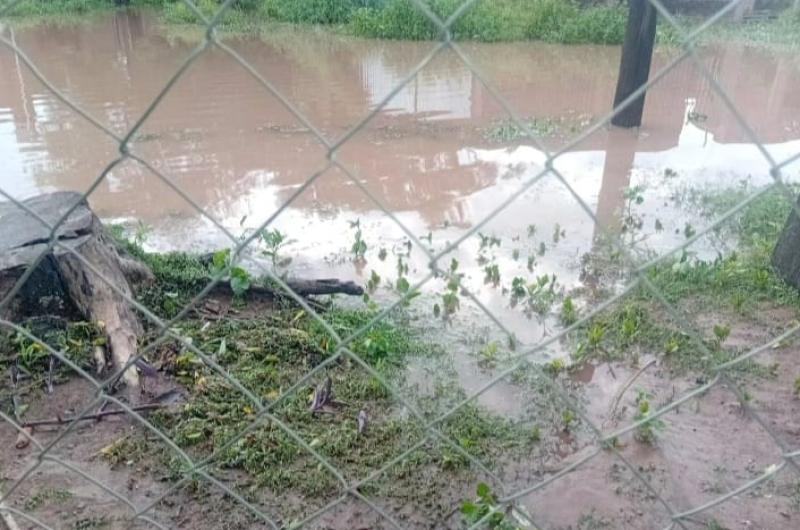 VIDEO  Temporal en Monte Quemado- barrios inundados calles colapsadas y familias afectadas