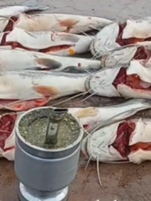 Pescador mostroacute coacutemo estaacute hoy el Dique Frontal y el gran caudal del Riacuteo Dulce