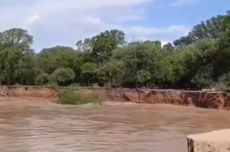 VIDEO  Impresionante crecida del riacuteo Salado socava la costa y provoca la caiacuteda de aacuterboles en Alberdi