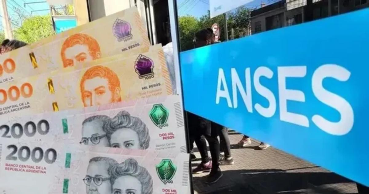 Bono Anses- coacutemo funcionaraacute desde el 20 de marzo