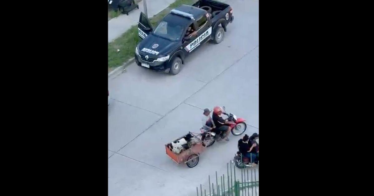 VIDEO  Se llevan hasta los perros- vecinos fueron evacuados en Salta Prolongacioacuten por el avance del riacuteo Dulce