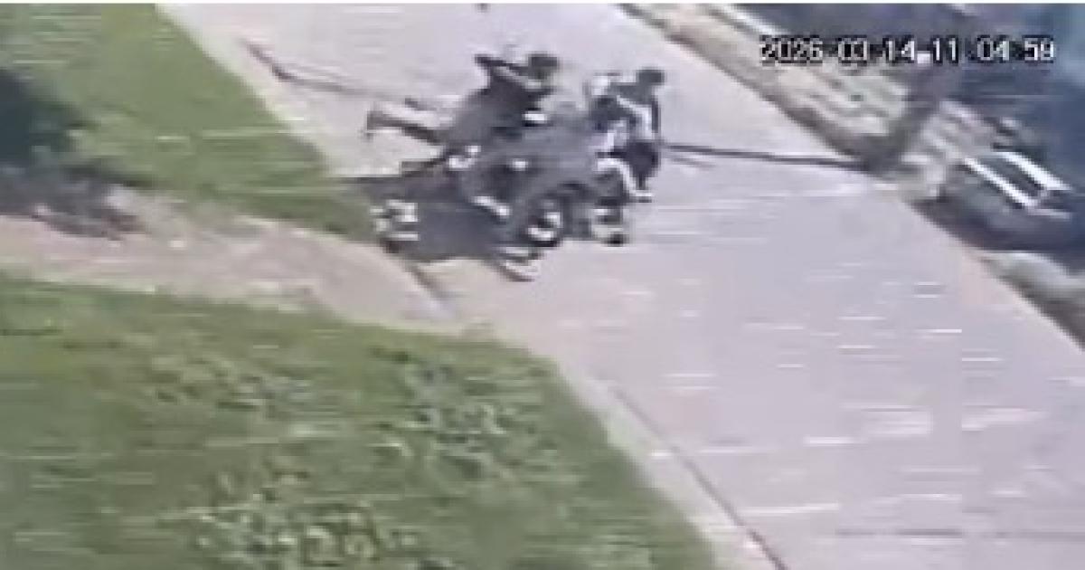 Dogo Argentino atacoacute a mujer y su duentildeo golpeoacute a su esposo porque los denuncioacute