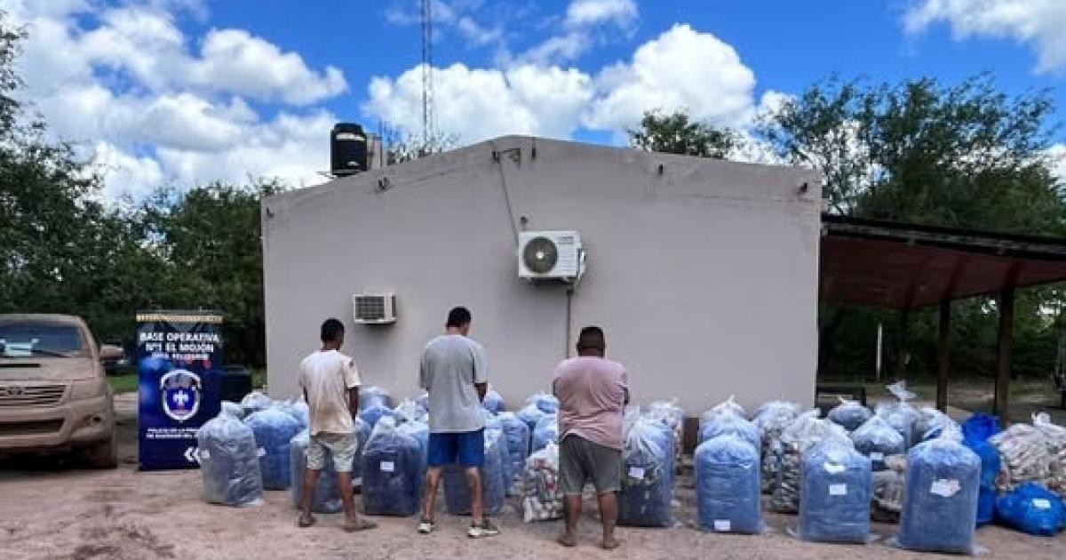 Secuestran 3 camionetas y maacutes de 1300 kilos de hoja de coca
