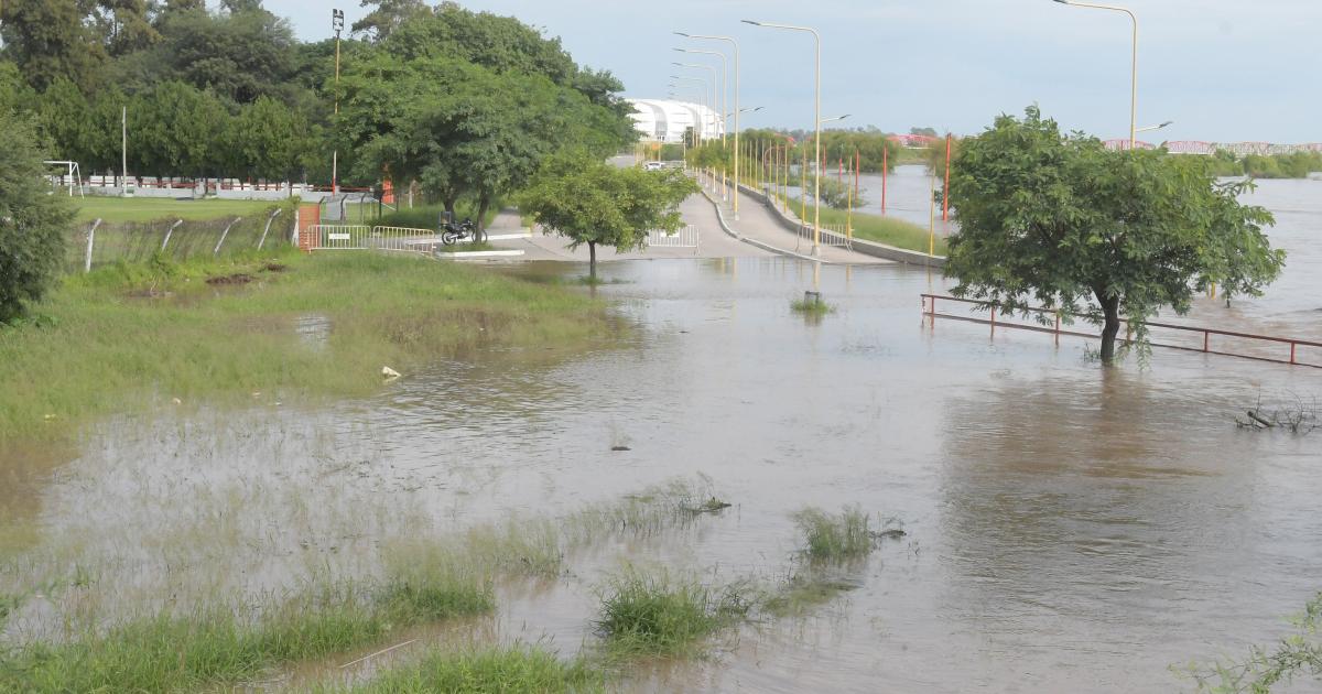 Alertan por animales silvestres desplazados por la creciente