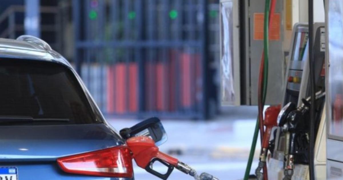 (Foto- Agencia Noticias Argentinas)