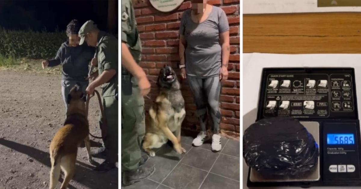 Detienen a pasajera de oacutemnibus escondiendo una sustancia pulverulenta de color blanco en su cuerpo