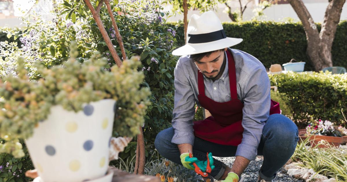 Tiacutetulo Perito en Desarrollo de Jardines y Huertas en UCSE