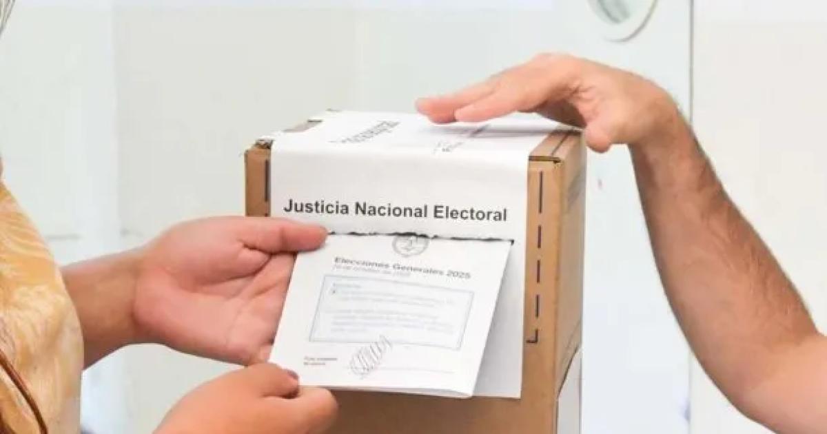 iquestSe terminan las PASO El Gobierno Nacional analiza su eliminacioacuten y desata poleacutemica