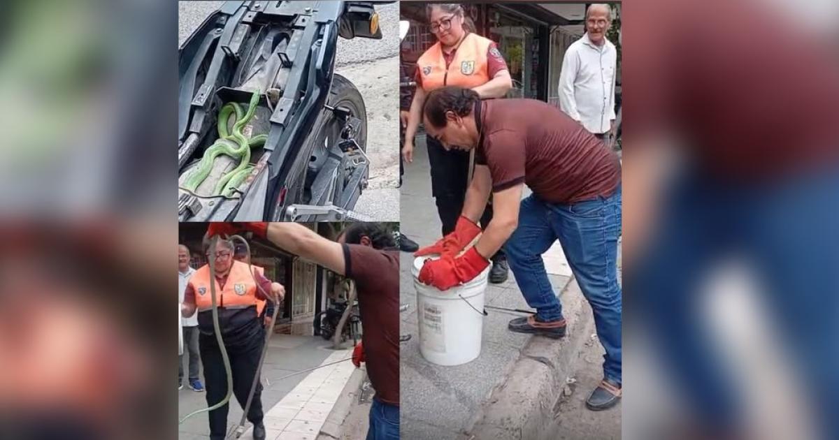 Foto- Alerta Banda  Redes sociales