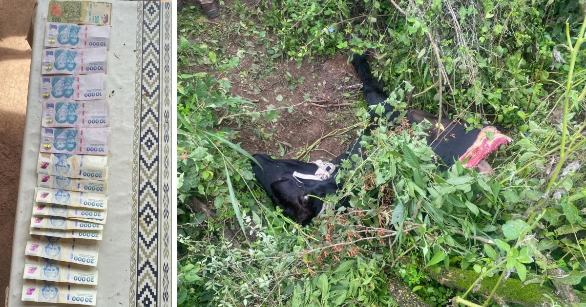 Abigeato en el interior santiaguentildeo- secuestran carne armas y detienen a un sospechoso tras un allanamiento