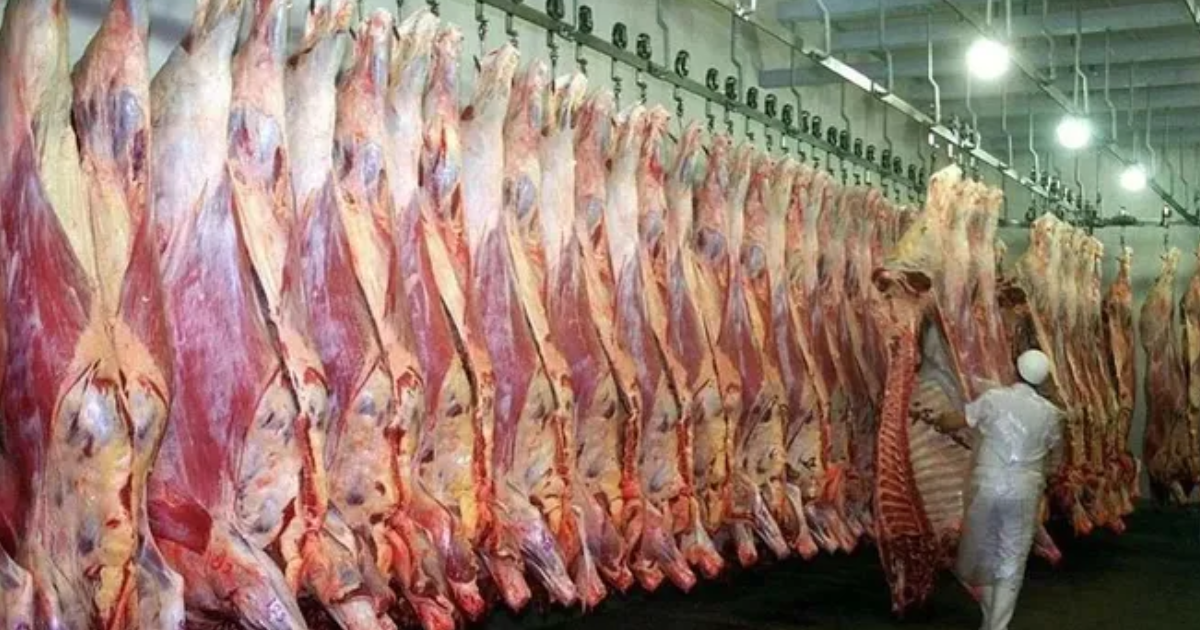 La carne en su peor momento- el consumo registroacute su nivel maacutes bajo en los uacuteltimos 20 antildeos