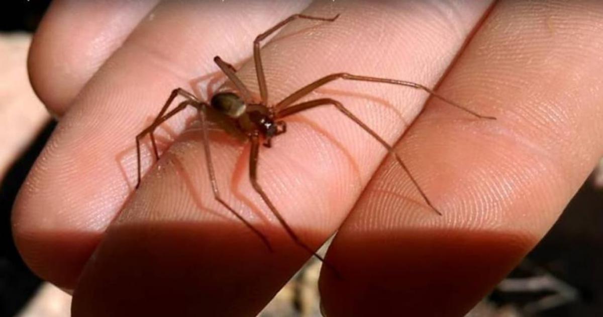 Foto- XLa voz de Misiones