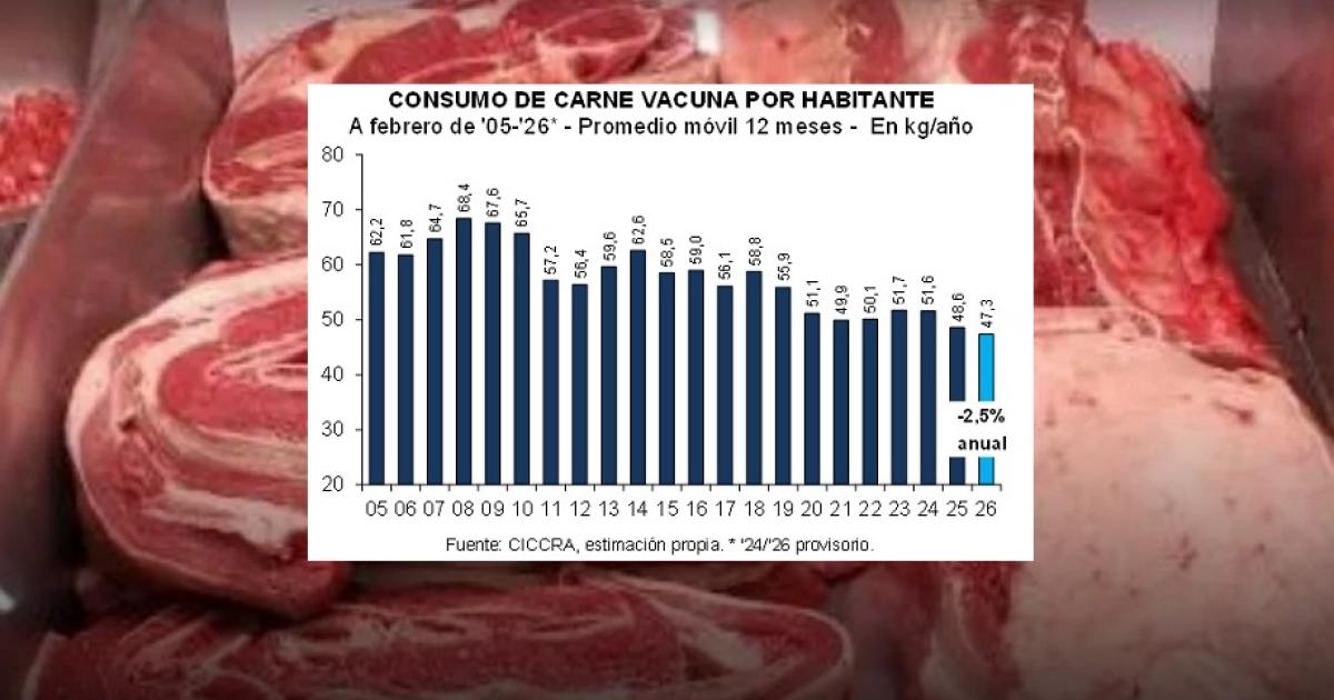 El consumo de carne vacuna cayoacute 138-en-porciento- entre enero-febrero a 473 kgcaacutepita el maacutes bajo en 20 antildeos