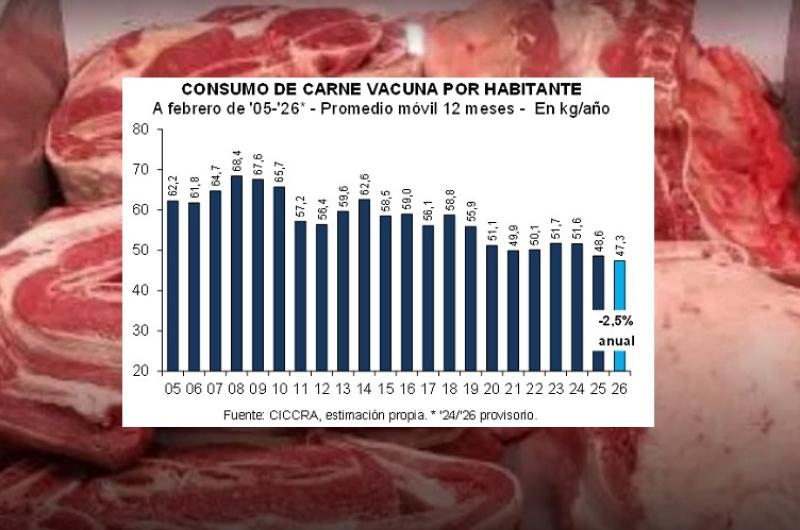 El consumo de carne vacuna cayoacute 138-en-porciento- entre enero-febrero a 473 kgcaacutepita el maacutes bajo en 20 antildeos