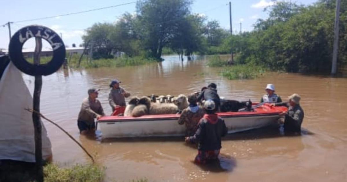 Inundaciones en Atamisqui ponen en grave riesgo a las majadas caprinas