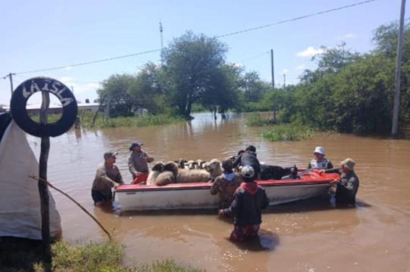 Inundaciones en Atamisqui ponen en grave riesgo a las majadas caprinas