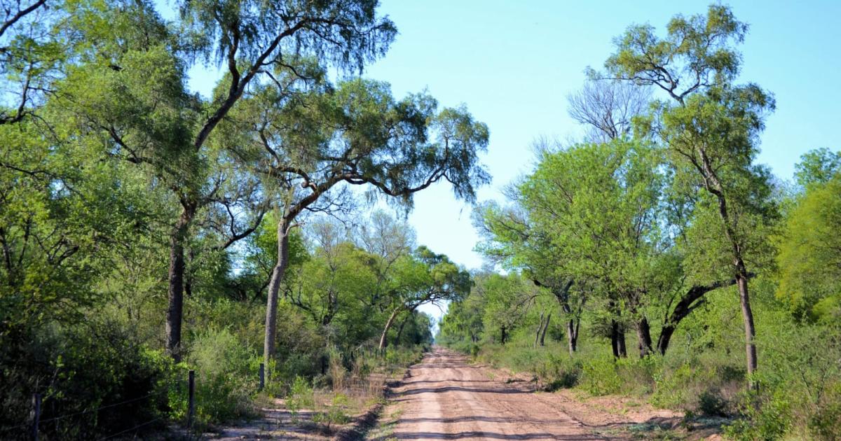Los bosques y la economiacutea local- el sustento de nuestras comunidades