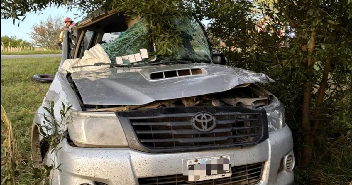 Tragedia- Un santiaguentildeo de 24 antildeos y un bebeacute murieron tras chocar contra un aacuterbol