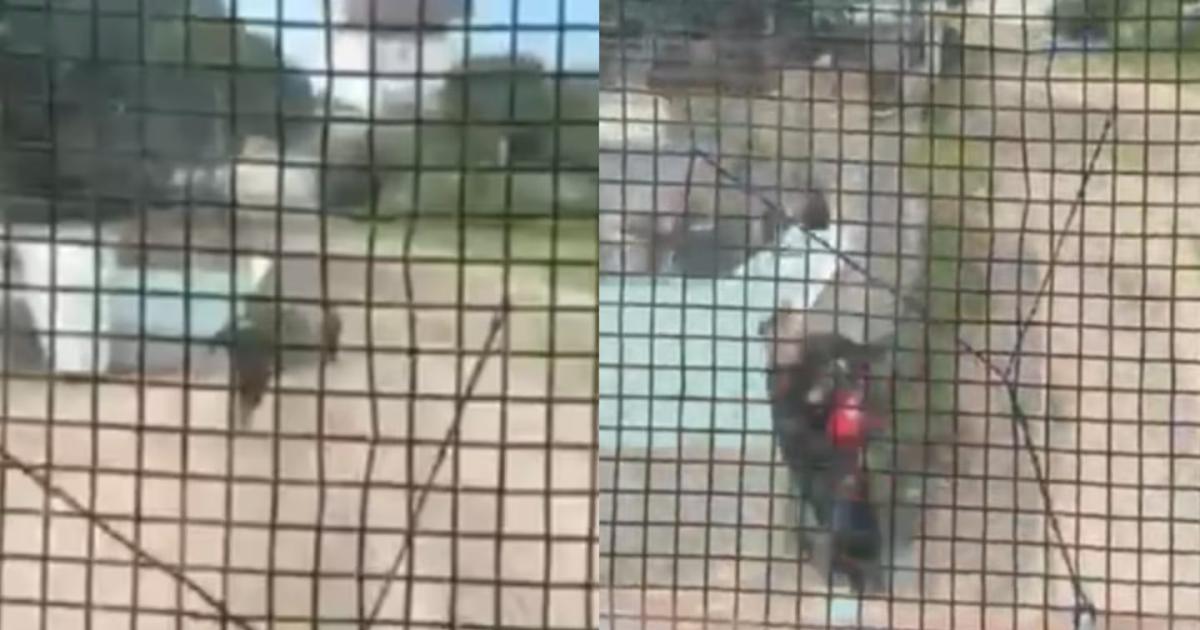 (Foto- captura de video TN)