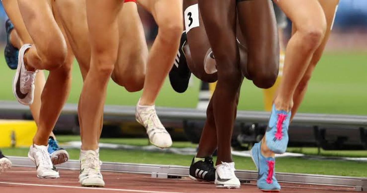 La verdad os haraacute libres