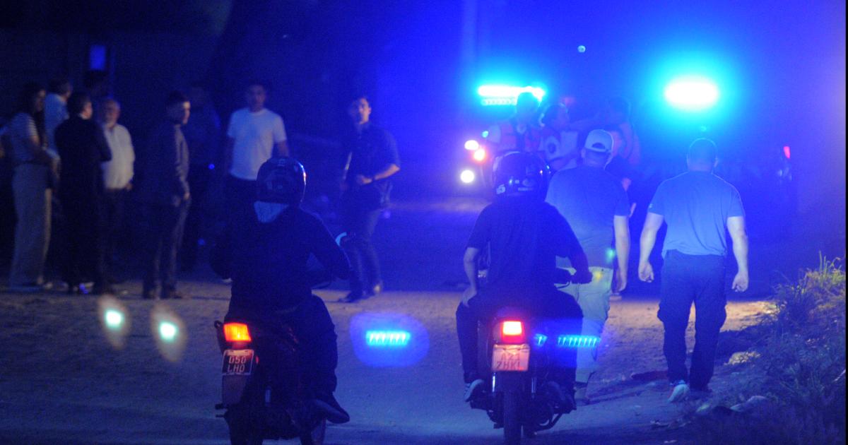 Descubren cuatro plantas de marihuana en allanamiento por un intento de homicidio 