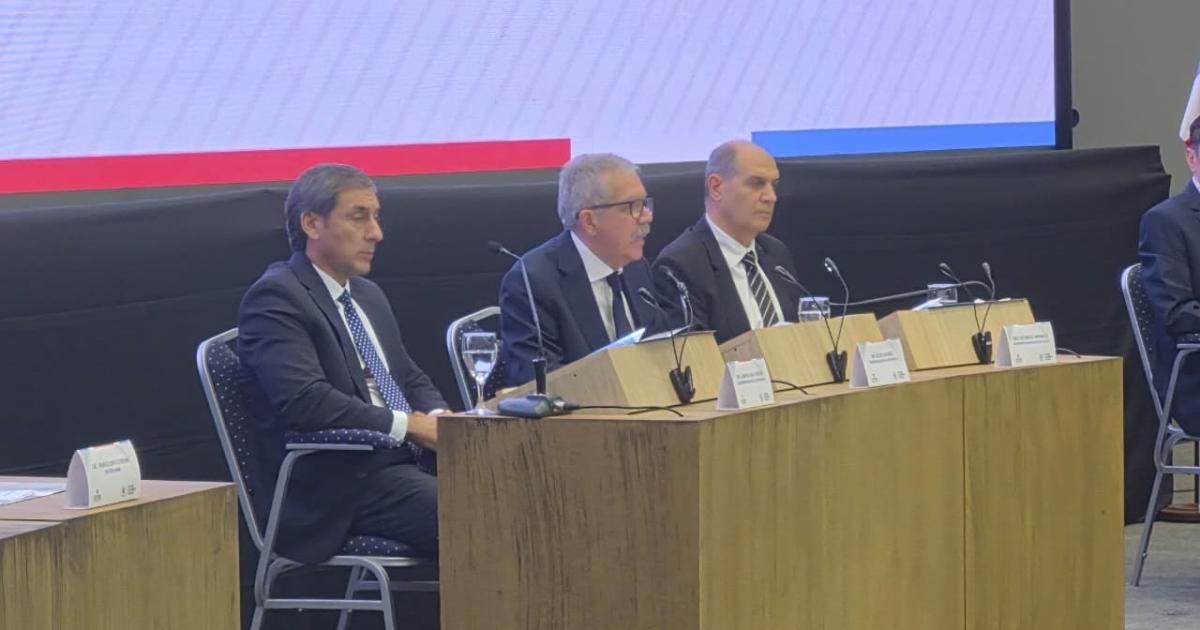 Eliacuteas Suaacuterez sobre el Consejo Econoacutemico y Social- Seraacute una herramienta para seguir construyendo