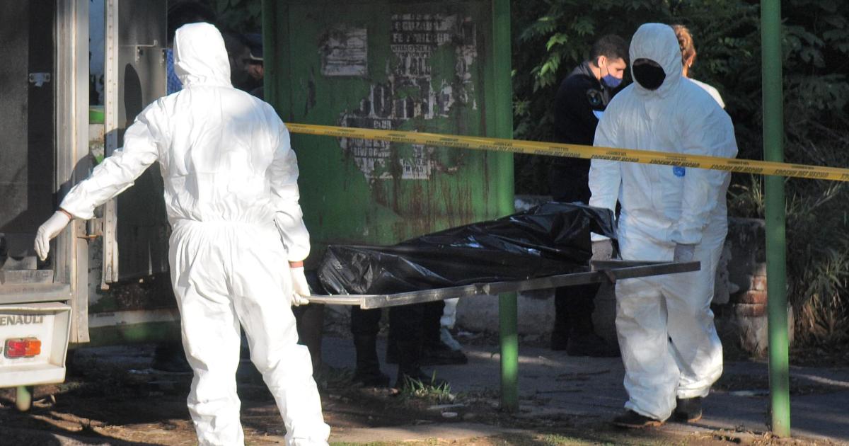 Tragedia en Palmita- hallaron a un hombre sin vida colgado de un aacuterbol