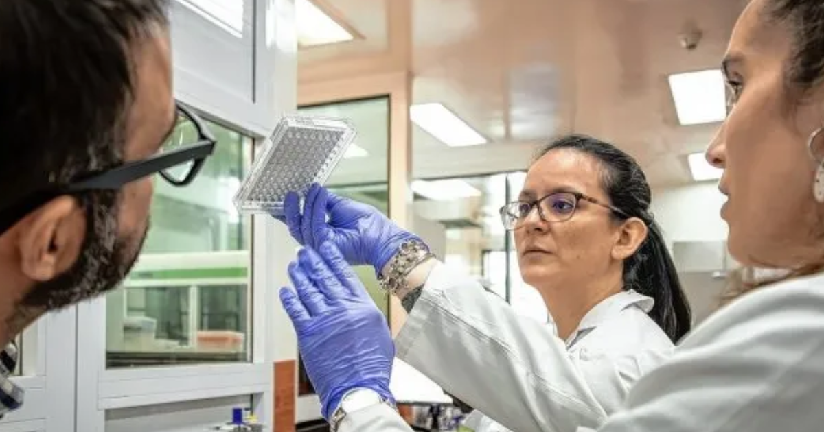 Motosierra sanitaria- el Gobierno redefine la estructura del Ministerio de Salud y fusiona entes del Malbraacuten