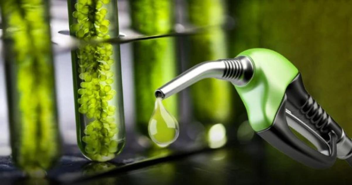 Fotografía- Agencia Noticias Argentinas  Archivo