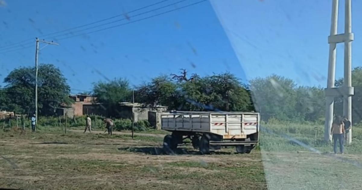 Violento altercado en un terreno- una comerciante denuncioacute a un abogado