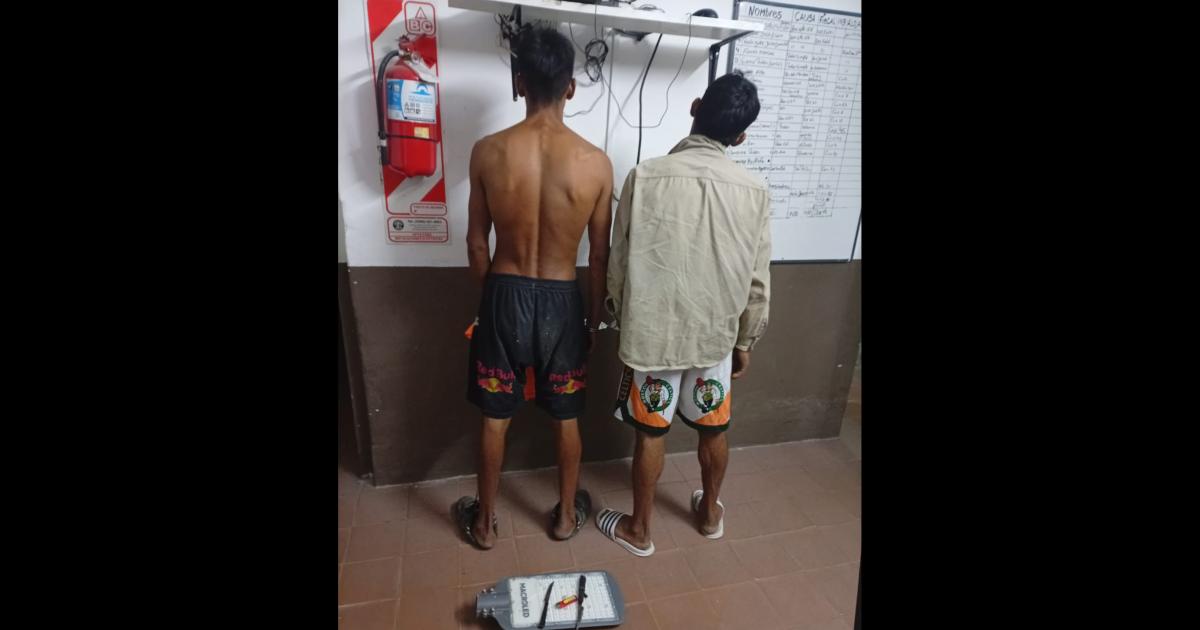 Dos delincuentes fueron aprehendidos con cuchillos y una laacutempara del alumbrado puacuteblico en el barrio Vinalar