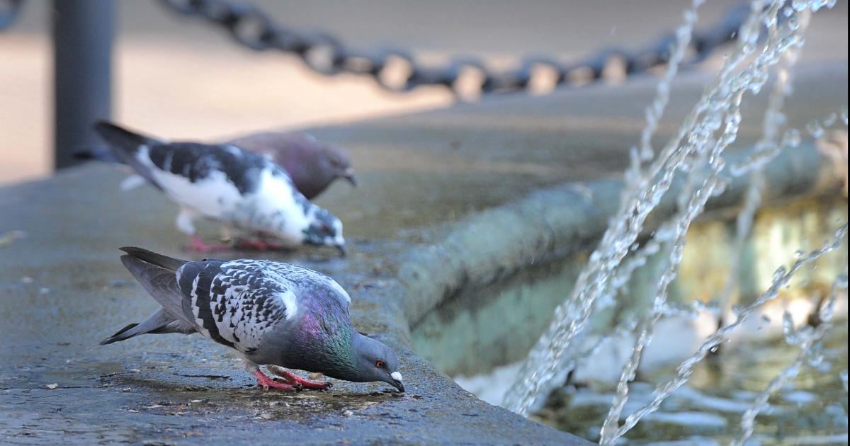 Mieacutercoles de calor intenso y alta humedad en Santiago del Estero