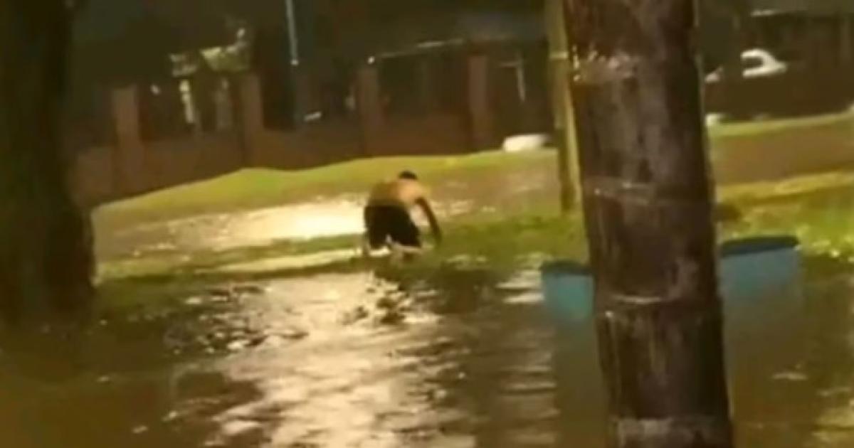 El momento en el que el padre del menor se enteró de su muerte (Foto- Infobae)