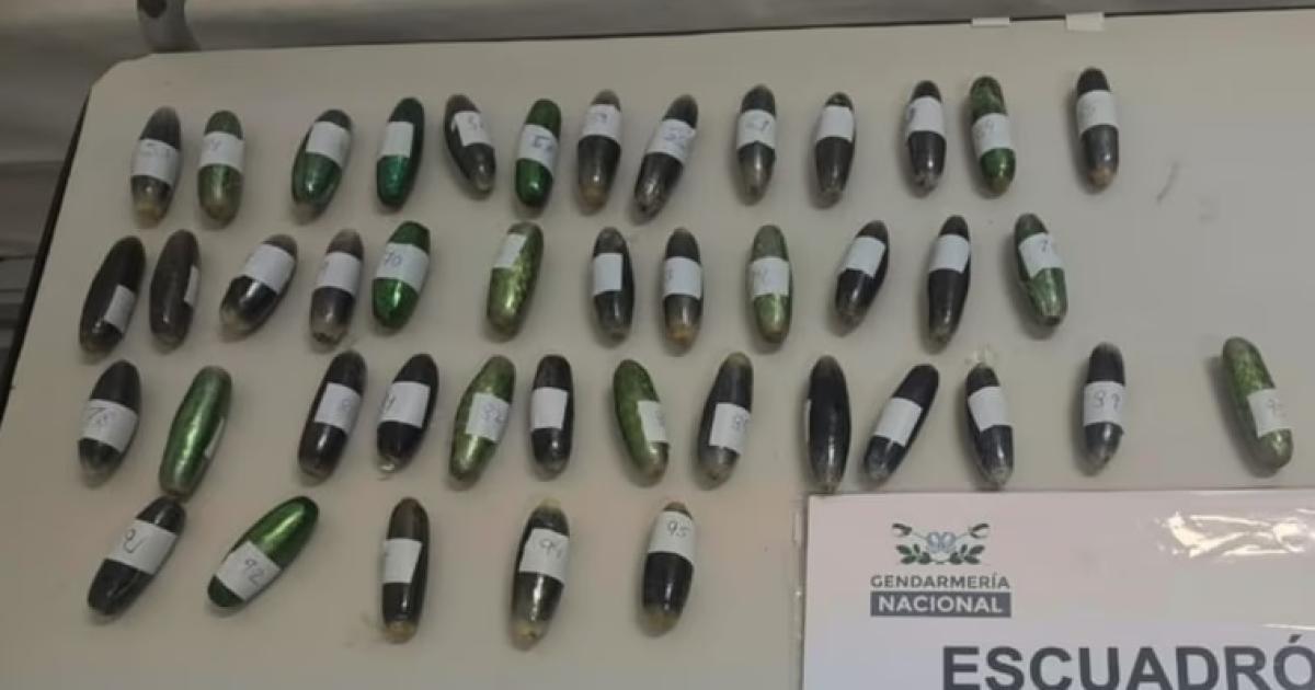 (Foto- Gendarmería Nacional)