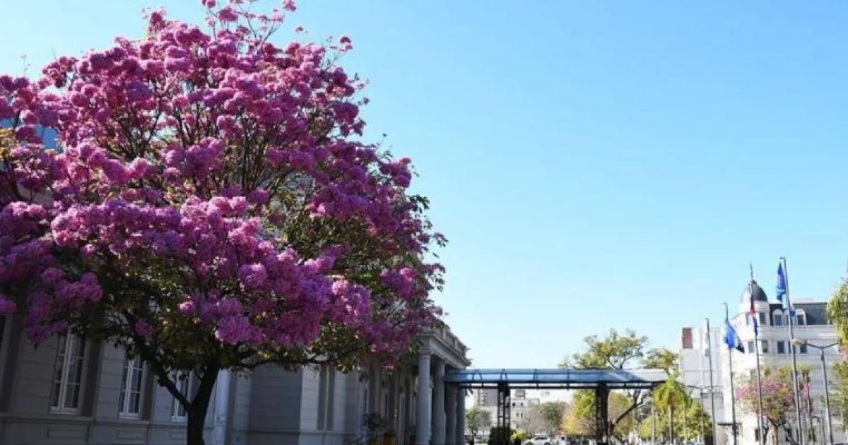 Mieacutercoles agradable en Santiago- cielo despejado y sin lluvias