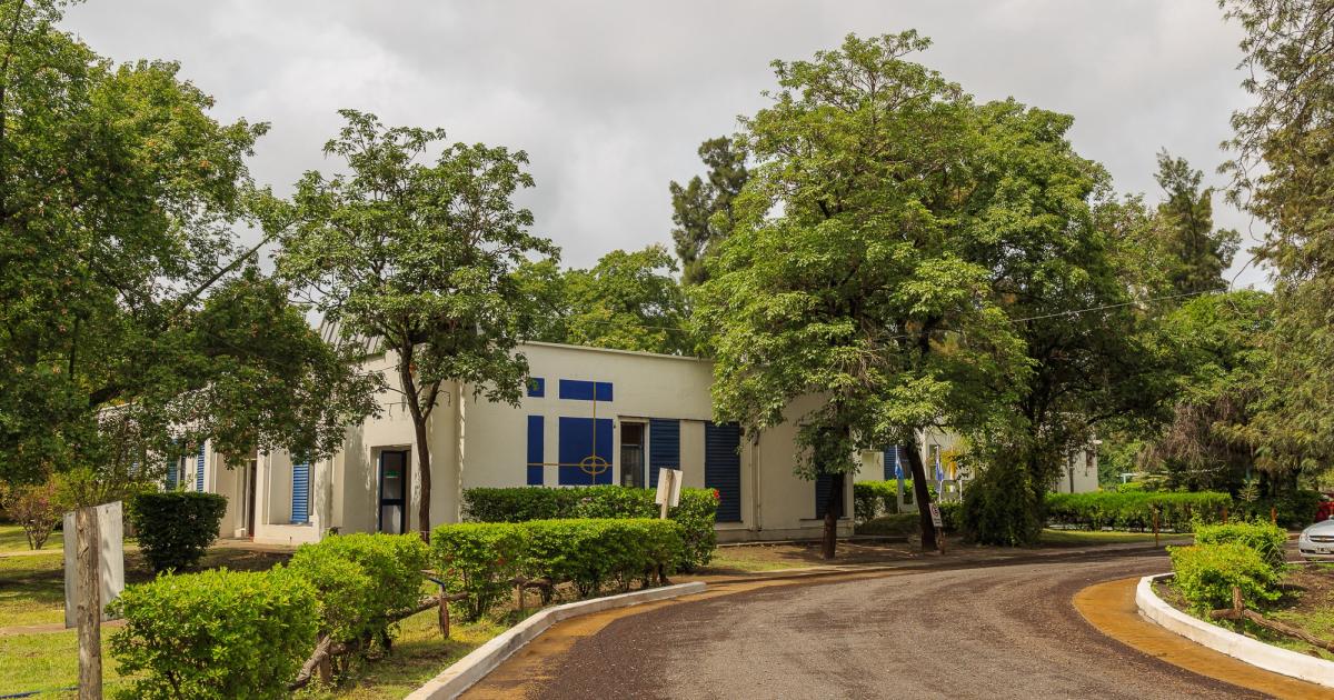 La Universidad Catoacutelica impulsa el Programa al Meacuterito Deportivo