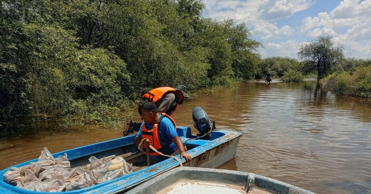 Hariacutean viviendas para las familias que resultaron damnificadas por la crecida y desborde del riacuteo Dulce
