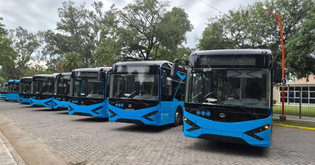 Lanzan una liacutenea de 15 colectivos eleacutectricos conducidos por mujeres en la Capital