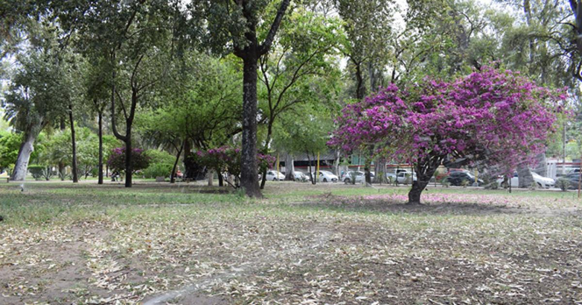 Viernes con tiempo ideal- jornada templada y sin lluvias en Santiago del Estero